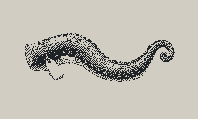 A severed tentacle